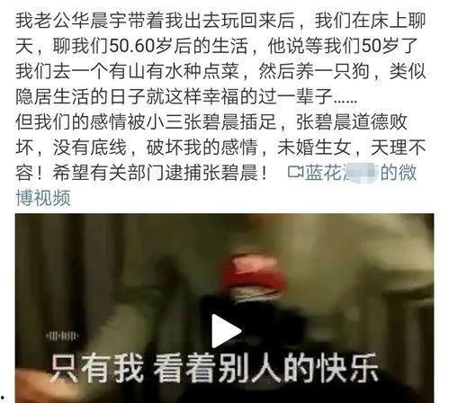 吃瓜最娱乐营销号